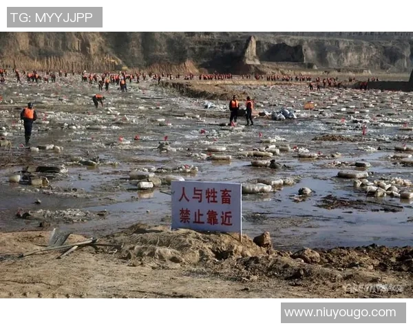 北京与山西激烈冲突视频下载分享引发热议与讨论