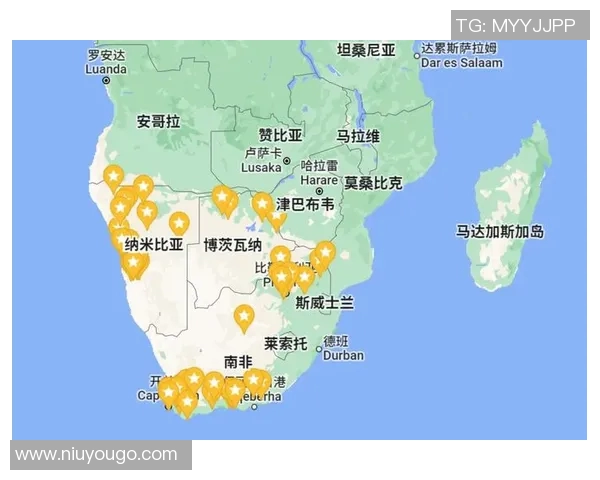 南非与安哥拉比赛因故延迟球迷期待新赛程安排