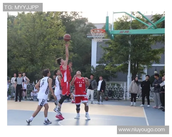 沈梓捷:从青年才俊到篮球赛场的璀璨明星之路