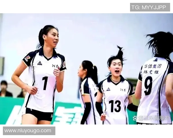 河南女排与河北女排激战正酣谁能在这场较量中笑到最后