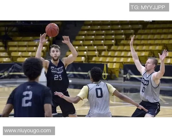 清华大学与沈阳体育学院的精彩对决：CUBA篮球赛的激烈碰撞与青春斗志