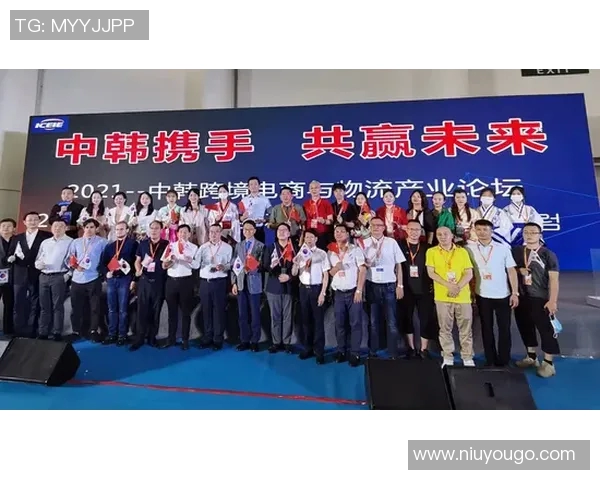 韩国与波黑足球赛的举办地点及相关信息解析