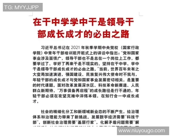付豪：在挑战与机遇中不断成长的青年创业者之路