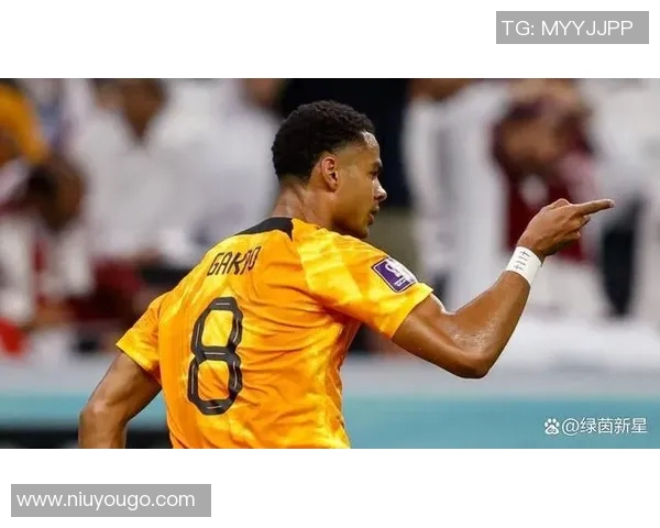 加克波：从新星崛起到足球巨星的奋斗历程与未来展望