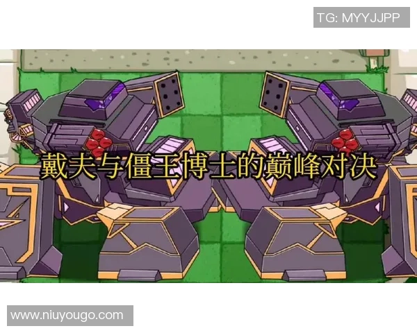 贝兹尔与索肖激战在即谁能在这场对决中笑到最后