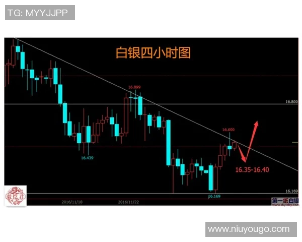 2019年重庆与江苏的精彩对决回顾与分析