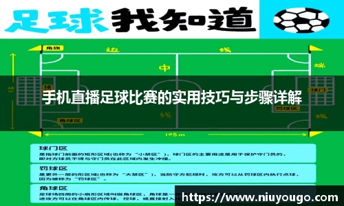 手机直播足球比赛的实用技巧与步骤详解