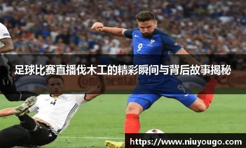 jinnianhui金年会