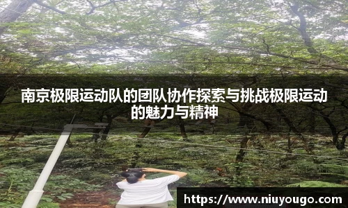 jinnianhui金年会