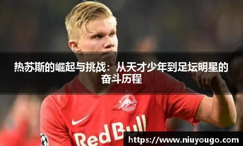 今年会平台入口