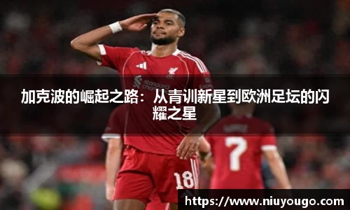 今年会jinnianhui官网